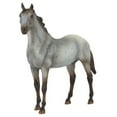 thumbnail image 3 of Breyer Classics Wild Blue: Book and Horse Toy Set (1:12 Scale), 3 of 7