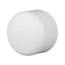 Charlotte Pipe & Foundry PVC021161800 3 in. Slip Schedule 40 PVC Cap