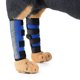 thumbnail image 5 of Suave puede acariciar la herida del perro lactante y aliviar el dolor en las articulaciones del perro, y no afectará la movilidad de su perro.-S, 5 of 5