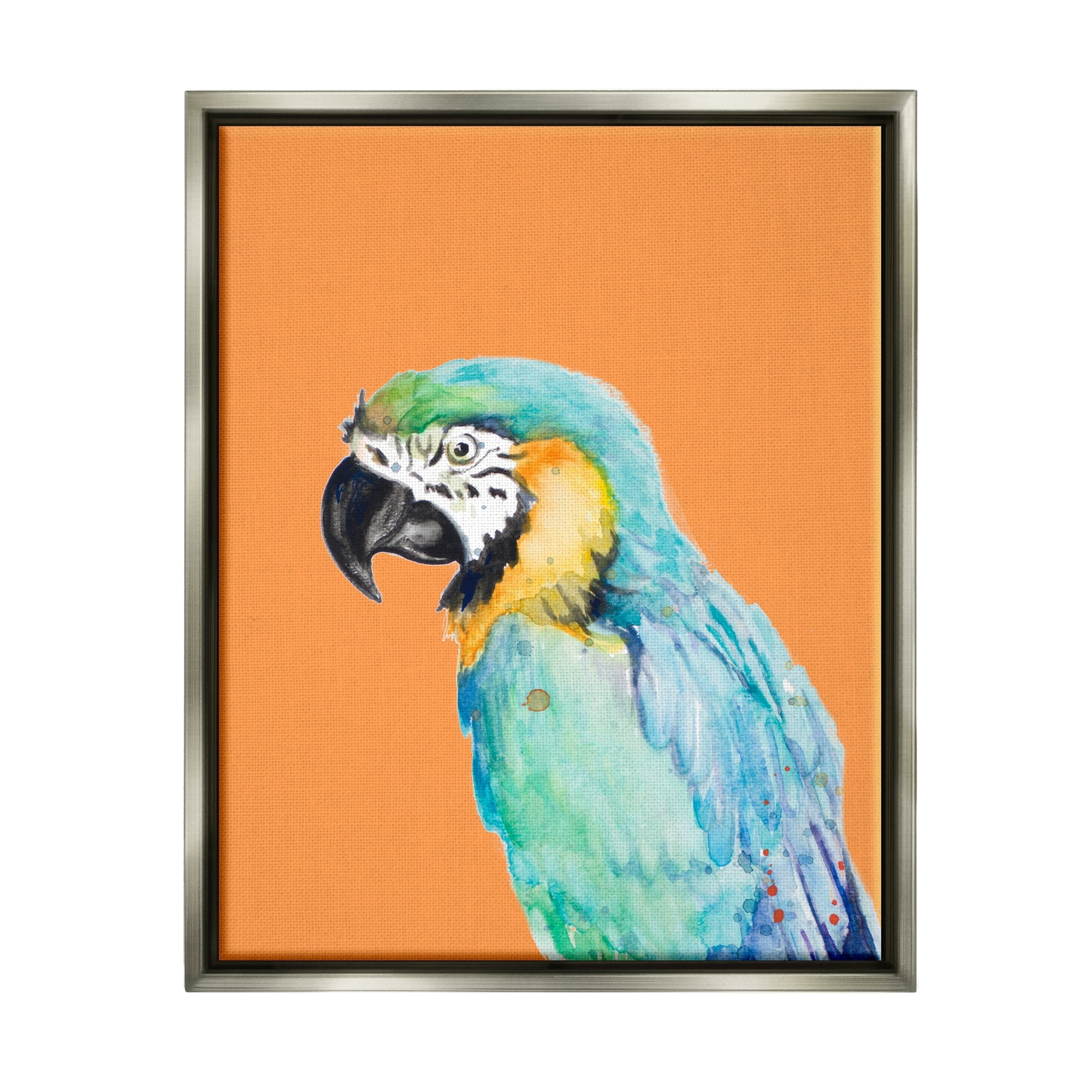 Stupell Industries Tropical Macaw Parrot Portrait Bold Rainforest Bird Graphic Art Luster Gray Floating Framed Canvas Print Wall Art, Design by Patricia Pinto