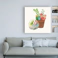 thumbnail image 3 of Trademark Fine Art 'Succulent Garden III' Canvas Art by Wild Apple Portfolio, 3 of 3