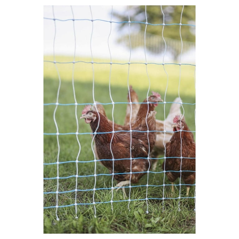 BULYAXIA Standard Electric Poultry Netting 42 x 164' (11/42/3) Electric  Chicken Fencing for Backyards, Homesteads, Farms, and Ranches