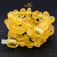 thumbnail image 5 of Amberalia Set of Amber Necklace 13" (33cm) ands Amber Bracelet 5.5" (14cm) Genuine Baltic Amber, Lab Tested Raw Lemon, 5 of 6
