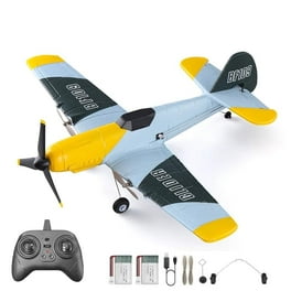 F22 Raptor Remote Control Aeroplane In Amazon Top Race F-22 Raptor