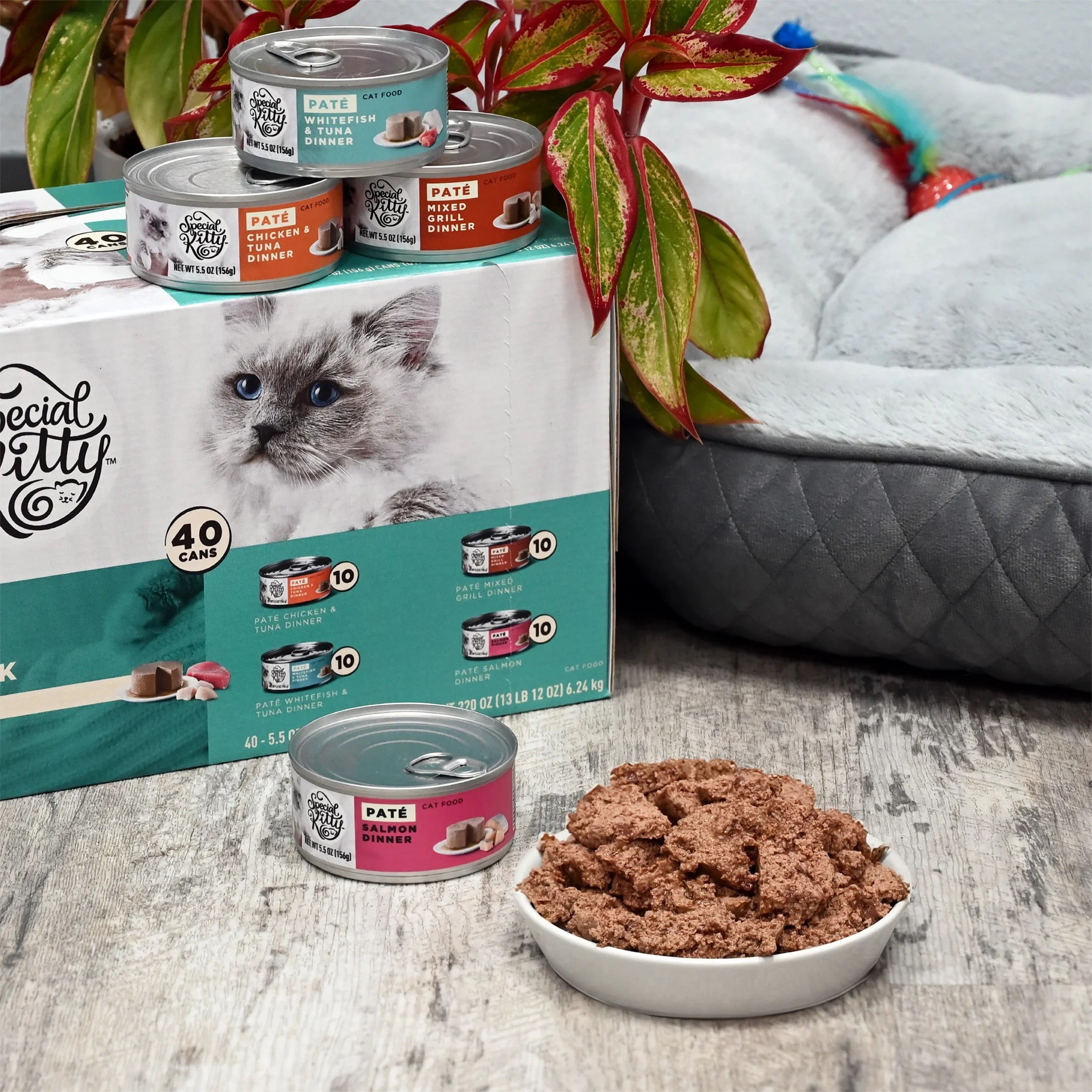 (12 pack) Special Kitty Surf & Turf Pate Wet Cat Food Variety Pack, 5.5 oz Cans, 40 Pack