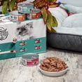 thumbnail image 5 of (12 pack) Special Kitty Mixed Grill Dinner Pate Wet Cat Food, 5.5 oz Can, 5 of 17