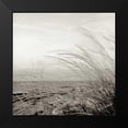 thumbnail image 2 of Blaustein, Alan 12x12 Black Modern Framed Museum Art Print Titled - Tuscan Coast Dunes - 1, 2 of 5