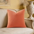 thumbnail image 5 of Teddy Fleece Throw Pillow Cover 18x18 Faux Lamb Sherpa Cushion Cover Soft Curly Plush Decorative Pillowcase For Couch Sofa Bed Living Room Decor, 5 of 7