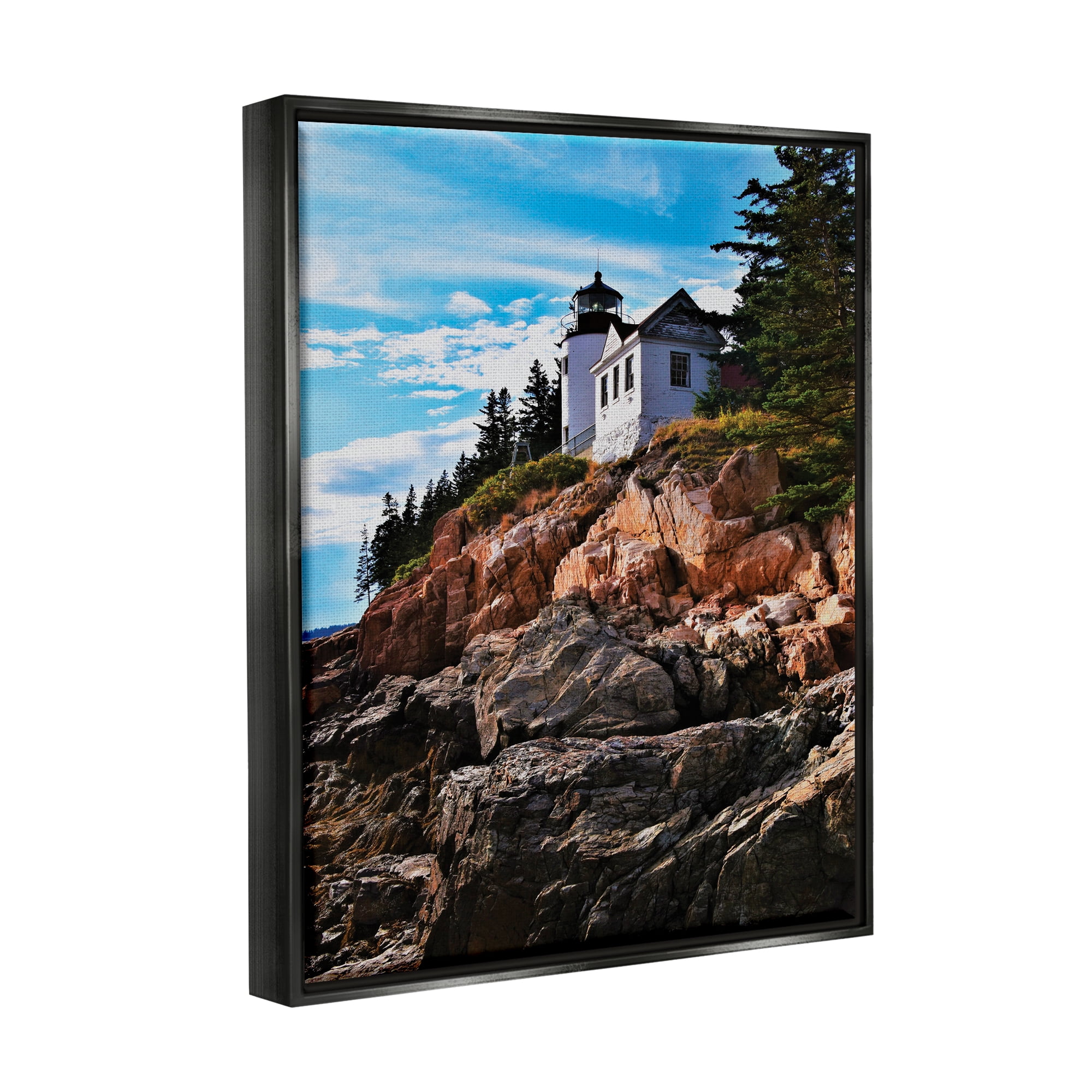 Stupell Industries Lighthouse on Cliff Nature Photography Black Floater Framed Art Print Wall Art, 25 x 31