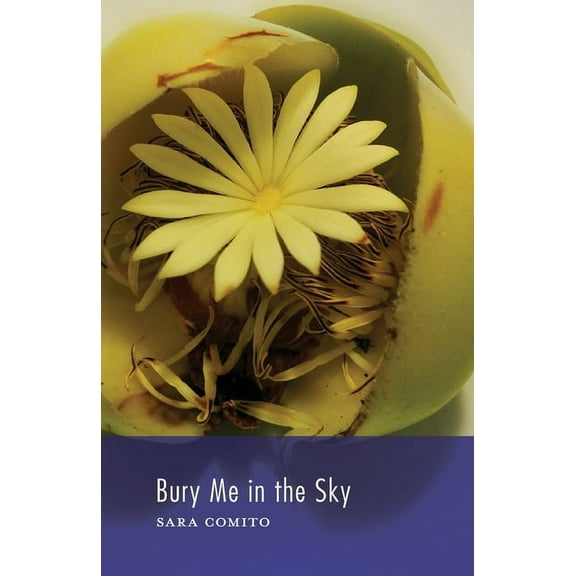 Bury Me in the Sky, (Paperback)