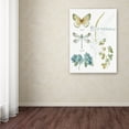 thumbnail image 3 of Trademark Fine Art "My Greenhouse Botanical I" Canvas Art by Lisa Audit, 3 of 3