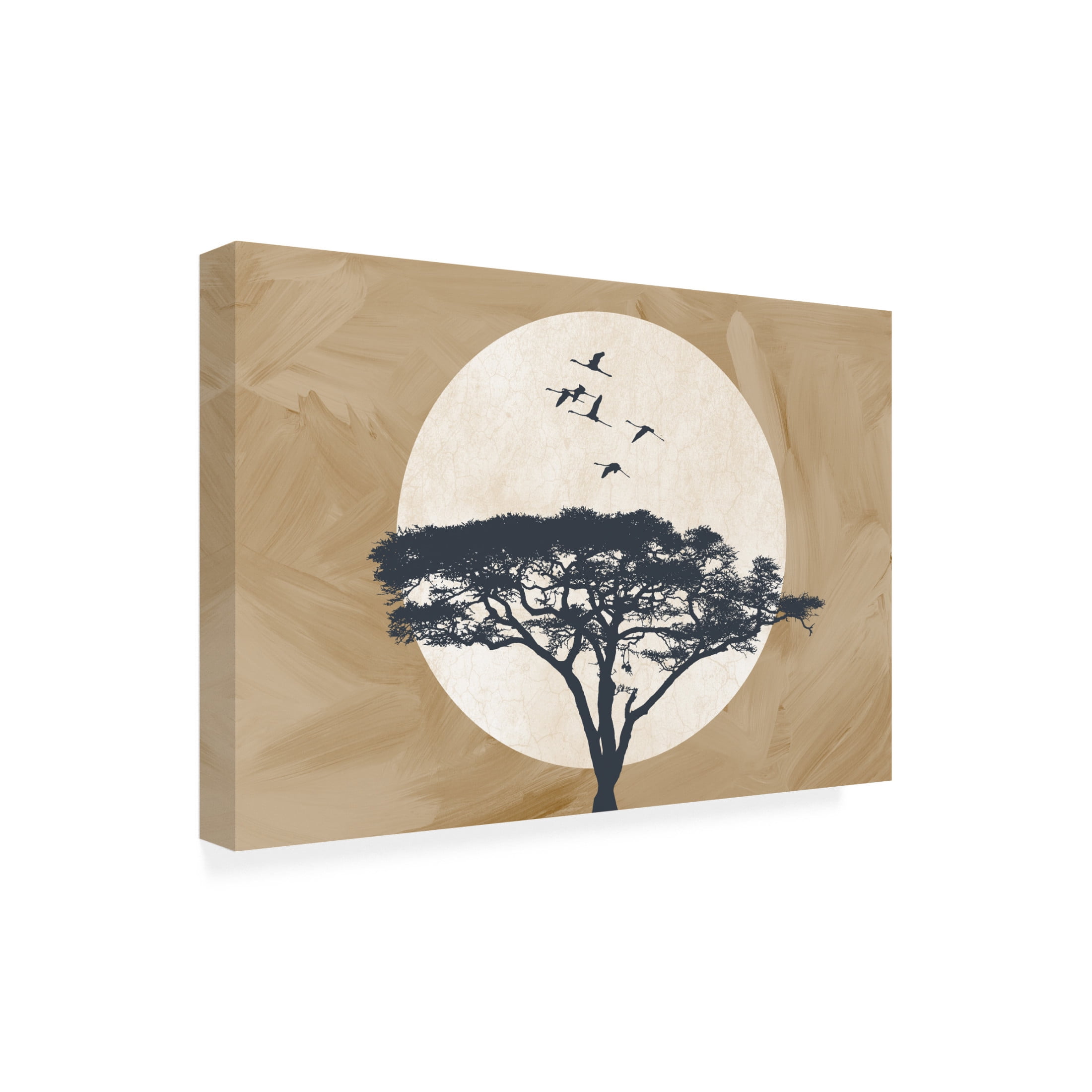 Trademark Fine Art Fadil Roze Ethiopia Spirit Canvas Wall Art