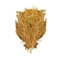 thumbnail image 1 of Miniature Trees DIY Model Building 1/87 Model Material Architecture Building Yellow, 1 of 8