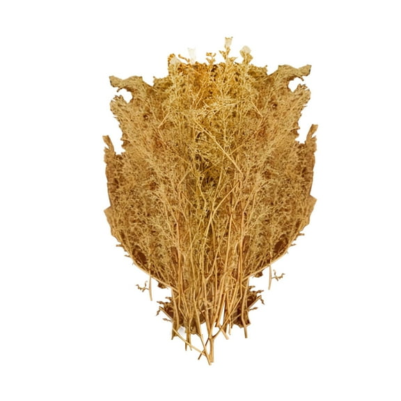 JWQFBC Miniature Trees Dioramas Scenery Decor Sand Layout Model Train Scenery Miniature Yellow