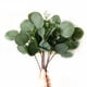 thumbnail image 2 of 24 piezas de ramas de eucalipto artificiales, hojas de eucalipto redondas con flores blancas, decoración artificial para bodas, 2 of 12