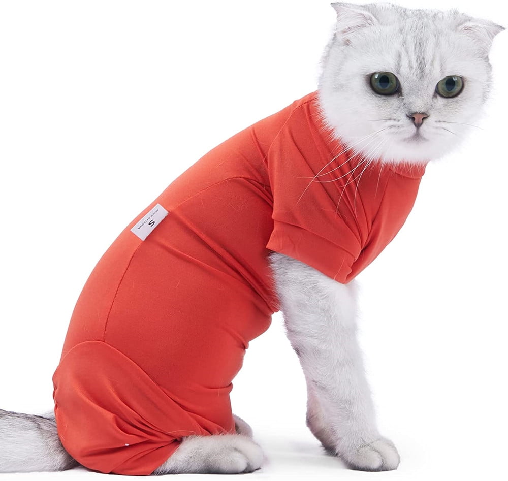 Cat Recovery Suit After Surgery for Female Male Pet Surgical Pajamas