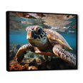 thumbnail image 2 of Designart "Hawaii Turle Of The Ocean" Animals Floater Framed Wall Art Print, 2 of 7