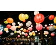thumbnail image 3 of ZYLER- 6 Silver 12" Paper Chinese Lantern Lamp Shade Wedding Party Decoration Supplies, 3 of 6