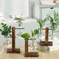 thumbnail image 2 of Plant Terrarium Vase Desktop Glass Bulb Planter Air Planter Bulb Glass Vase with Retro Solid Wooden Stand for Hydroponics Plants Glass Planter for Hydroponics Home Garden Office Decoration,5in, 2 of 5
