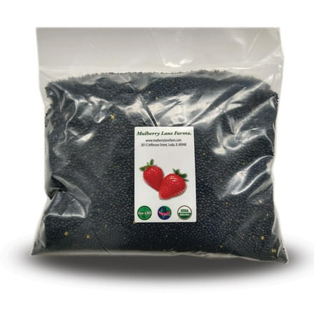 Black Lentils 10 lbs (Ten Pounds) USDA Certified Organic, Non-GMO, Bulk, by Mulberry Lane Farms