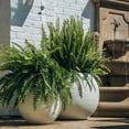 thumbnail image 3 of Titan Great Outdoors SPHRPLANT16_WH 16" Diameter Round Ivory Garden Pot with Weather Resistance, 3 of 8