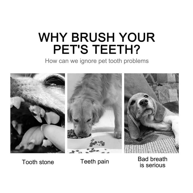 I Love Pet Head Shampoo And Conditioner Pet Toothbrush Set Dog Toothbrush Double Head Three Piece Set Pet Finger Brush Dog Hair