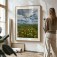 thumbnail image 2 of Adirondack Field - Paul Smiths New York Photography Nature Landscape Floral Scenic Summer Flowers Rural Oak Framed Wall Art Print 5 x 7 inches, 2 of 15