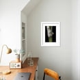 thumbnail image 5 of Bambusa Multiplex Alphonse Karr Bamboo  Shoot, Botanical Framed Art Print Wall Art by Paul Starosta Sold by Art.Com, 5 of 6