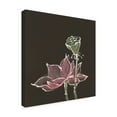 thumbnail image 2 of Trademark Fine Art Floral Canvas Art ' Lot On Black Iii ' by Chris Paschke, 2 of 3