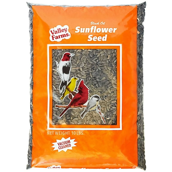 Valley Farms Black Oil Sunflower Seed Wild Bird Food