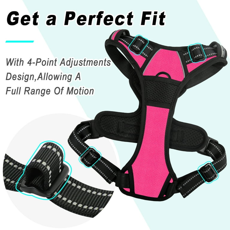4 point cheap dog harness