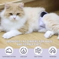 thumbnail image 7 of Paw Legend Cat Diapers for Female Cats Diaper for Male Cat Spraying Washable Reusable Kitten Diapers for Cats Incontinence Pet Diapers (3 Pack, Large), 7 of 7