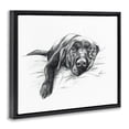 thumbnail image 4 of Stupell Industries Naptime Black Labrador Animals Drawing Black Floater Framed Canvas Art Print Wall Art, 21 x 17, 4 of 10
