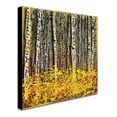 thumbnail image 3 of Trademark Fine Art Roderick Stevens 'Fall Aspens' 24 x 24 (RS997-C2424GG), 3 of 4