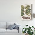 thumbnail image 3 of Trademark Fine Art 'Exotic Botanique II' Canvas Art by Vision Studio, 3 of 4