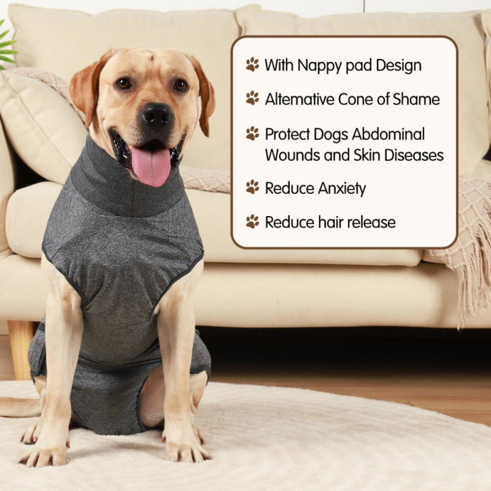 Dog Physiological Clothes Dog Diapers Aunt Clothes,Post-Neuter Clothes,Diapers,Pet Dog Clothes Diaper Strap Briefs Female Sanitary Panties XXS-3XL (2 Gaskets Included)