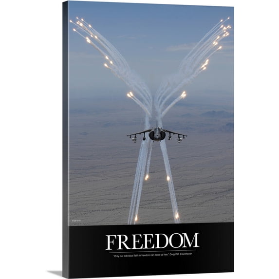 Great BIG Canvas | "Air Force Poster: Freedom Can Keep Us Free" Canvas Wall Art - 24x36