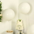 thumbnail image 6 of BalsaCircle 5 Off White 36 in Round Latex Biodegradable Balloons Wedding Reception Events Graduation Birthday Party Decorations Supplies, 6 of 8