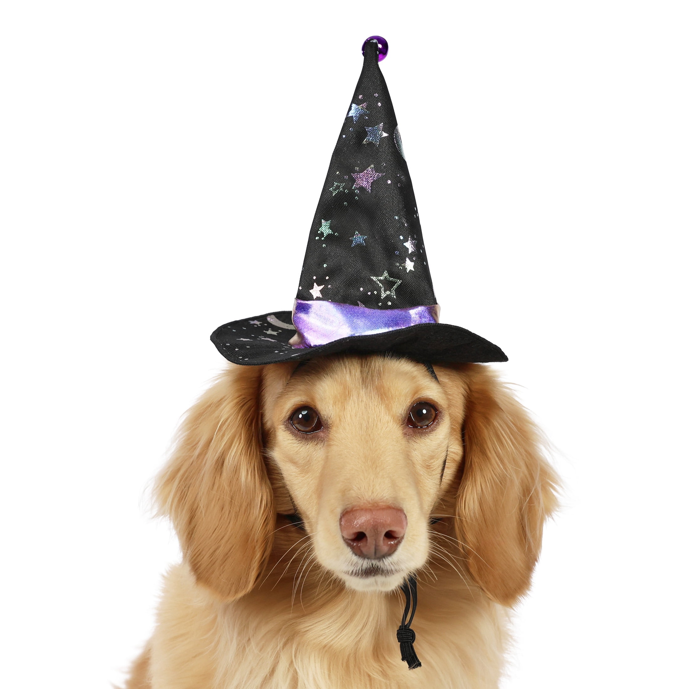 Vibrant Life Halloween Witch's Hat Costume for Dogs and Cats, Black, XS/S