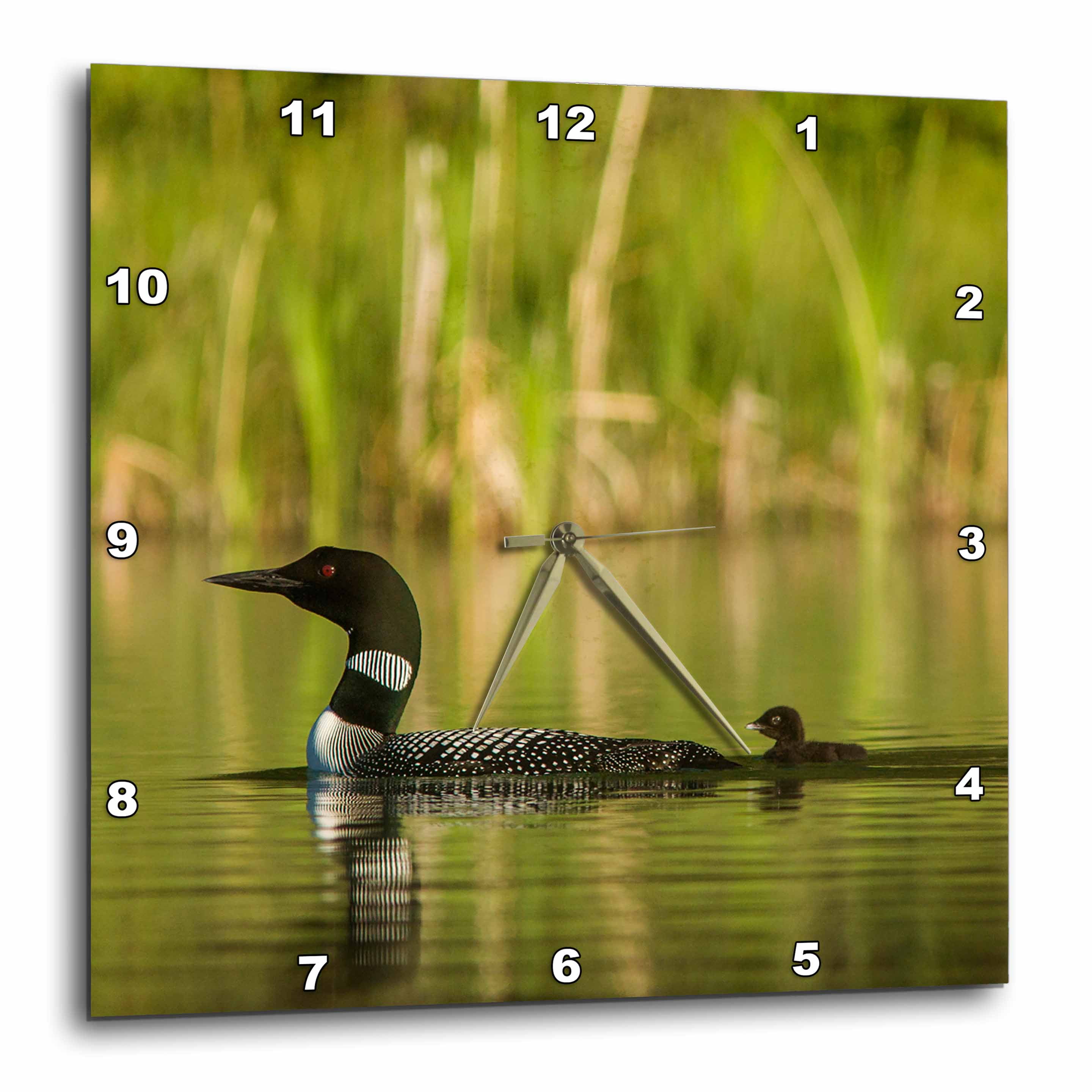 3dRose Family of Three Loons - Wall Clock, 10 by 10-inch - Walmart.com