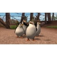 thumbnail image 4 of Madagascar 2: Escape 2 Africa - Wii, 4 of 5