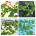 thumbnail image 3 of FENGGUIQU 1Set Simulation Floating Duckweed Plastic Aquarium Plant for Tank Decoration, 3 of 8