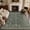 Green, variant on MICGEEK 5x7 Area Rugs, Washable Vintage Distressed Rug for Living Room Bedroom Home Office, Stain Resistant Floral Print Traditional Distressed Accent Carpet, Vacuum-Friendly, Brown