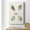 thumbnail image 6 of Pastel Knorr Shells III Premium Gallery Wrapped Canvas - Ready to Hang, 6 of 9