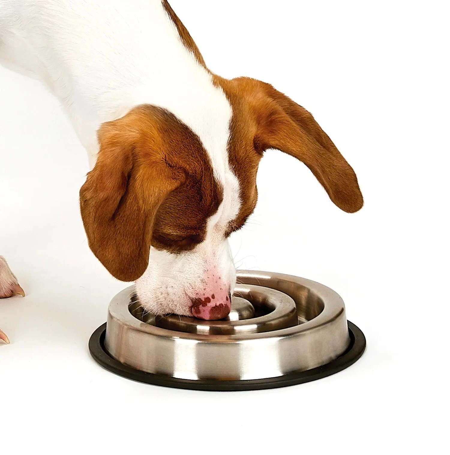 Slow Feeder Dog Bowls Heavy Stainless Steel Non Skid No Tip 10 Dish Bulk Packs (Small - 7.5" Diameter)