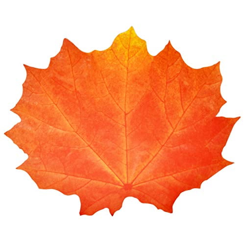 Gift Boutique Paper Harvest Leaf Placemats 48 Pack Orange Color Thanksgiving Autumn Maple Leaves Shaped Chargers Place Mats 12" x 16" Fall Turkey Crafts Dinner Party Table Decorations