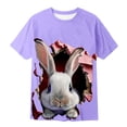 thumbnail image 3 of Rhuody Boys Tops Round Neck Easter T Shirt Short Sleeve Tee Bunny Prints Blouse Adorable Summer Clothing 12-13 Years Purple, 3 of 3