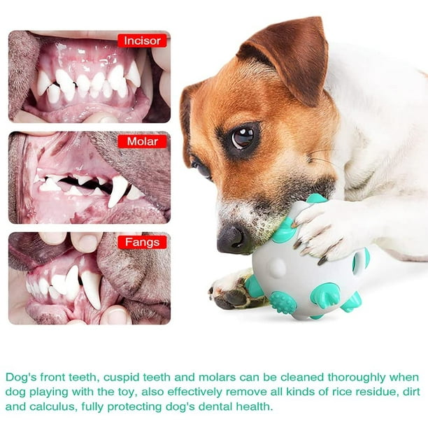 Dog Tooth Cleaning Toy Dog Teething Toys Balls Nontoxic Bite Resistant Toy Ball for Pet Dogs Puppy Cat Dog IQ Training Chew Toys Ball for Small