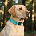 thumbnail image 5 of Minzimin Reflective Dog Collar for Medium Large Small XS XL Extra Small Dogs, Nylon Adjustable Puppy Collar, 5 of 6
