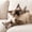 Khaki, variant on Wood Toothbrush Cats Toys For Bored Indoor Adult Cats, Mint Chewable Automatic Cat Toy Dental Teaser Supply, Cat Laser for Kitten Boredom Interactive Play